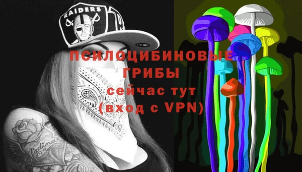 спиды Надым