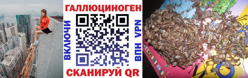 Псилоцибиновые грибы MAGIC MUSHROOMS закладка Плавск