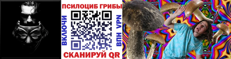Псилоцибиновые грибы прущие грибы Плавск